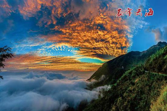 哀牢山生态旅游景区