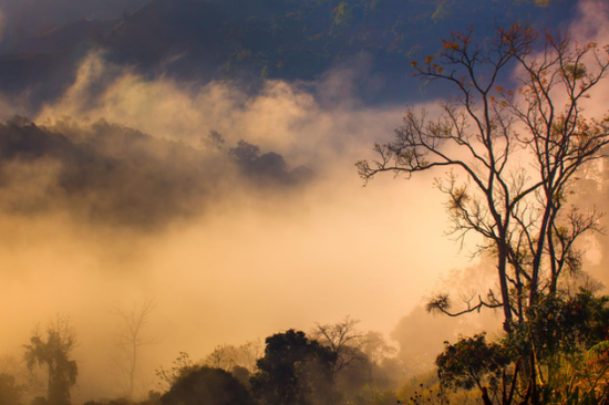 云南湄公河集团旗下景区——普洱太阳河国家公园 原始森林