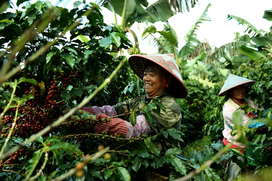 星巴克首款中国单一产区限量咖啡豆品鉴会23