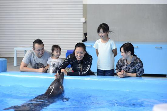 “约会海豚” 来源：香港海洋公园