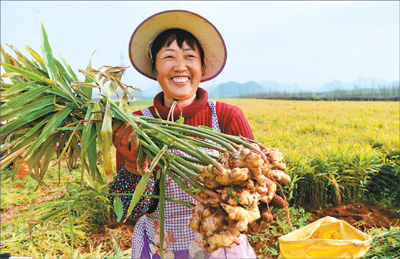 云南曲靖:昔日的石漠化土地如今春暖花开