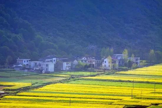 仰天堂油菜花田 (图:@摄影师朱正)