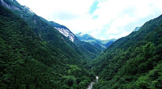 原始森林般的美景 （图：网络）