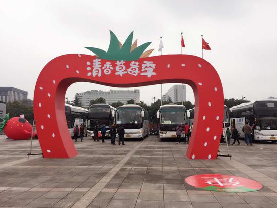 采完草莓游建德,建德草莓采摘游直通巴士发车