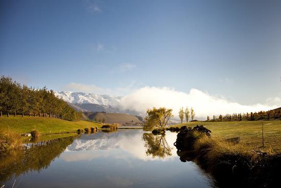 中奥塔哥（Central Otago）地区的壮丽秋色 来源：New Zealand Wine官方网站