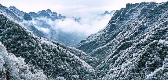 2月22日，受冷空气影响，慈利县五雷山，一夜之间，银装素裹，恍若仙境。李景林 摄