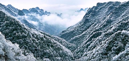 2月22日，受冷空气影响，慈利县五雷山，一夜之间，银装素裹，恍若仙境。李景林 摄