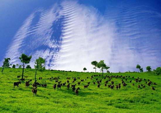 滇中第一草原 马龙县马鸣乡万亩草山