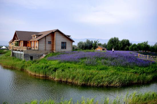 中卫开启旅游市场联合营销宣传模式 助力全域