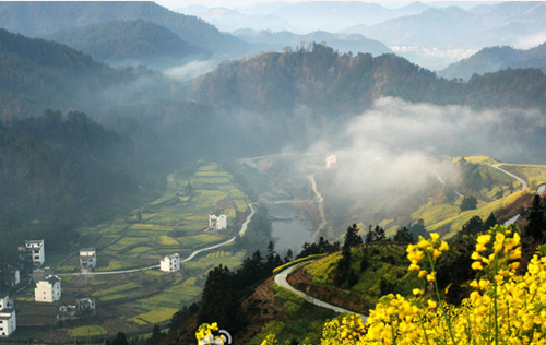 花香雾绕下的柯村（图源：@黟县旅游委员会）