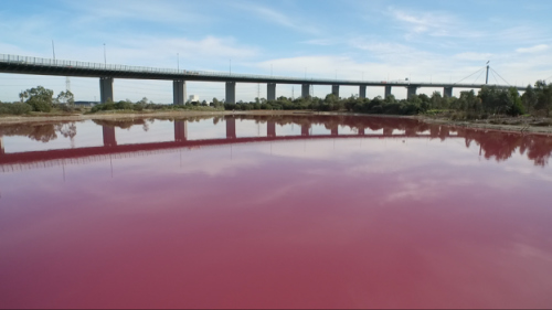 专家称，湖水变红是自然现象。（图片来源：澳大利亚维多利亚州公园）