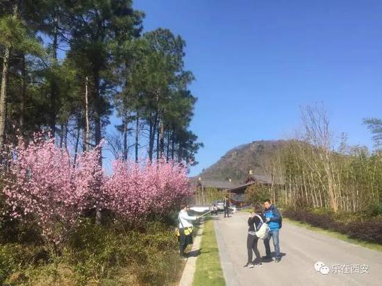 坐上高铁去旅行 夫子庙秦淮河畔美景美食攻略
