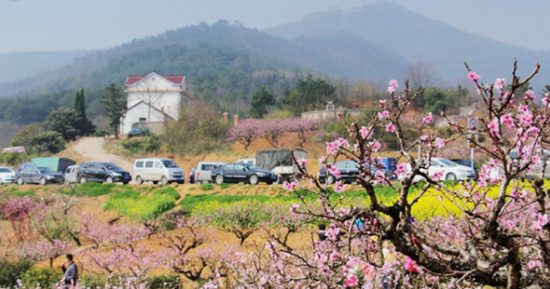 漫步当涂大青山 赏遍烟霞桃花林