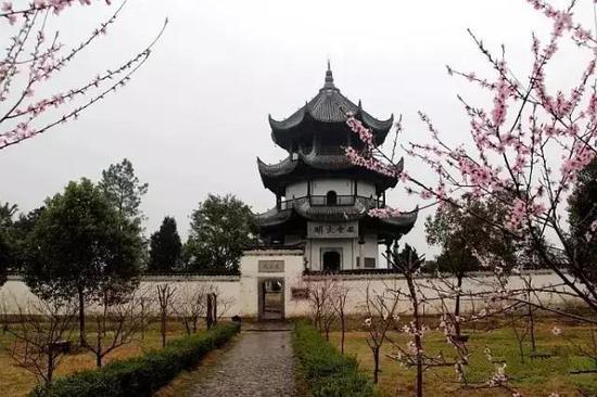 桃花潭人口_人口普查图片