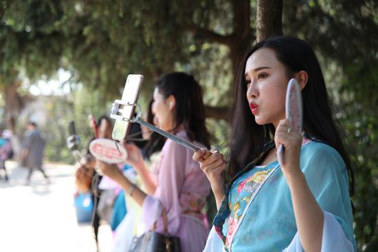 3月网红直播赏花 昆明动物园赏樱最佳目的地推