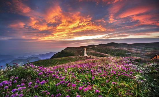 八万元奖金等你开脑洞 阿西里西旅游区征集LO