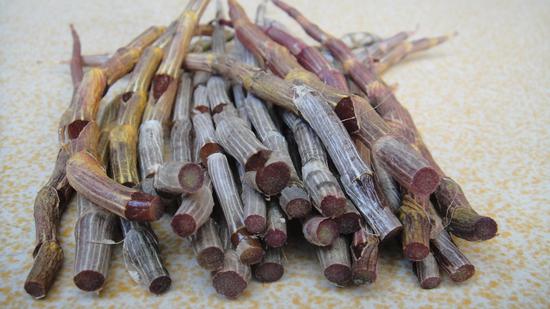 腾冲旅游龙陵石斛昌宁红茶荣登中国品牌价值评