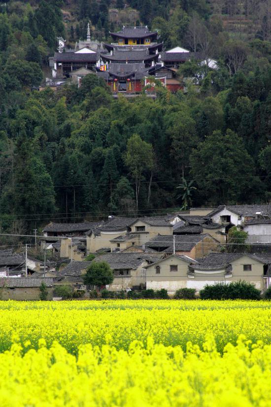 腾冲乡村旅游风景如画