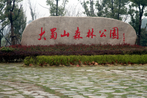 公园石刻(图源:@安徽爱游)