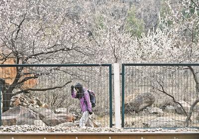 一位摄影爱好者试图进入铁轨