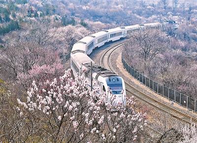 居庸关“花海列车”美景