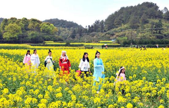 耿金芳原创诗作《田原花海》系列诗作《三》