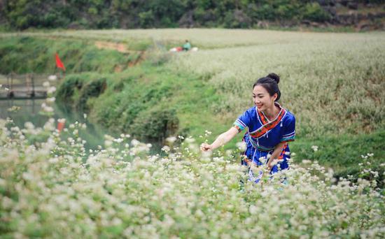 新浪博主：@dinhoidinh