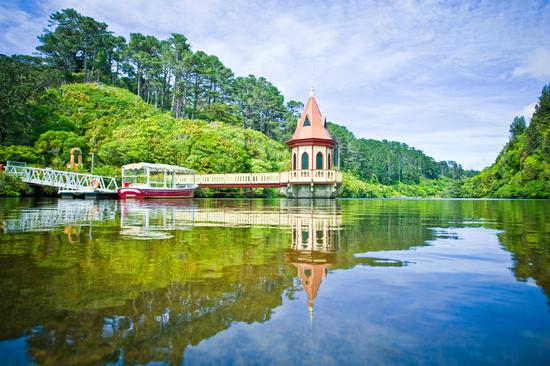 徜徉于惠灵顿郊外山区的西兰蒂亚（Zealandia） 图片来源：新西兰旅游局