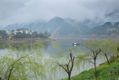 春雨凉凉(摄影:@--耗资-- )