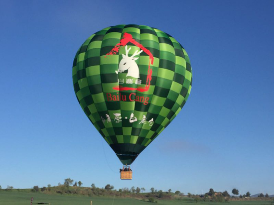 数十个国家的酷炫异形热气球来白鹿仓啦 小编