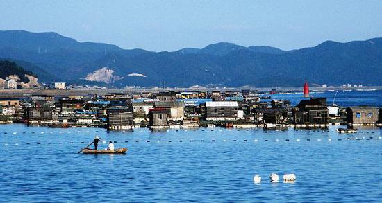 花岙岛