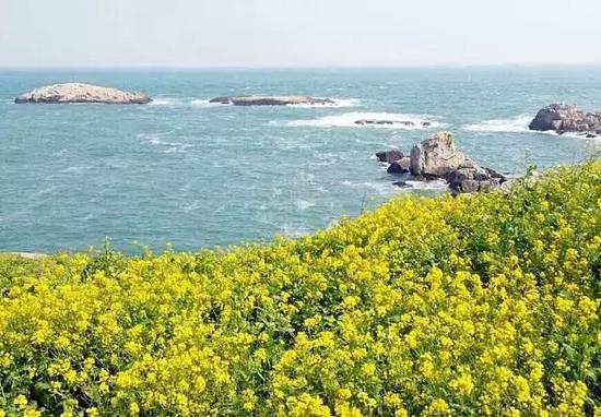 花岙岛