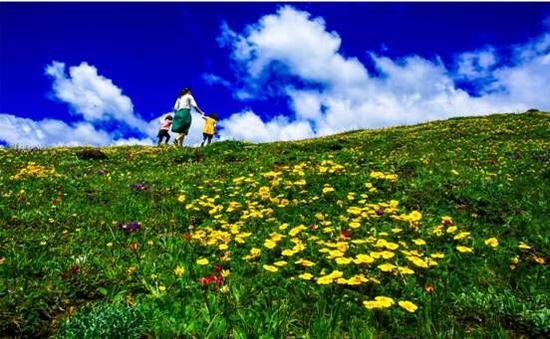 五一小长假去哪儿?在康定木雅圣地赏遍川西美