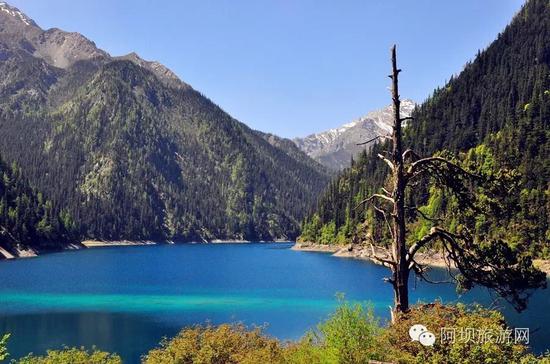 阿坝文旅开通九寨沟景区扫码购票身份证入园