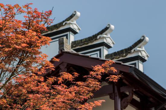 建德大慈岩民宿