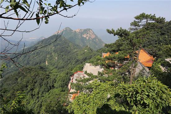 (图源:网络)