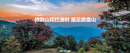 磨盘花海