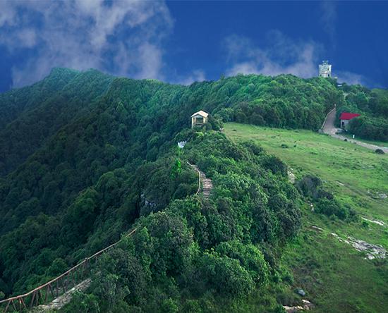 高山草甸