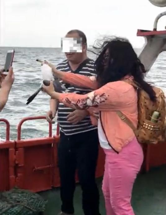 一帮人抓海鸥拍照 脖子和翅膀都快扯断了