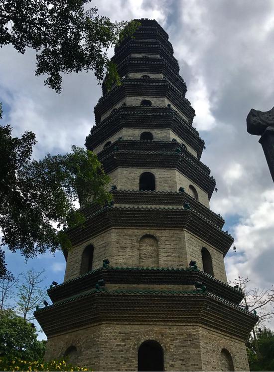 新浪博主:莫果蕾
