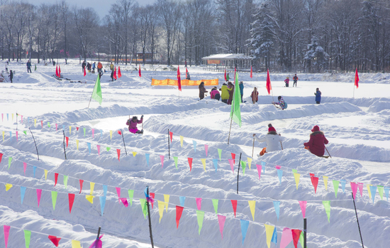 局推介冰雪旅游典型单位 桃山国家森林公园榜