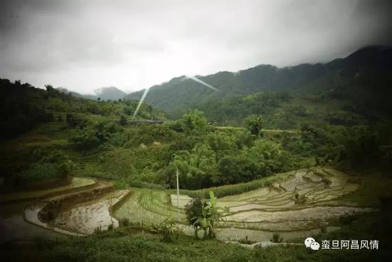 阿昌的人口_阿昌采茶图片