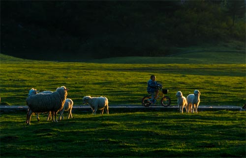 巫溪推四季旅游 夏天避暑冬天滑雪