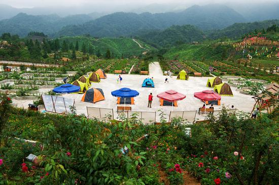 石柱云中花都:等你去尽享清凉一夏