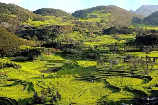 云南曲靖旅游景点大全