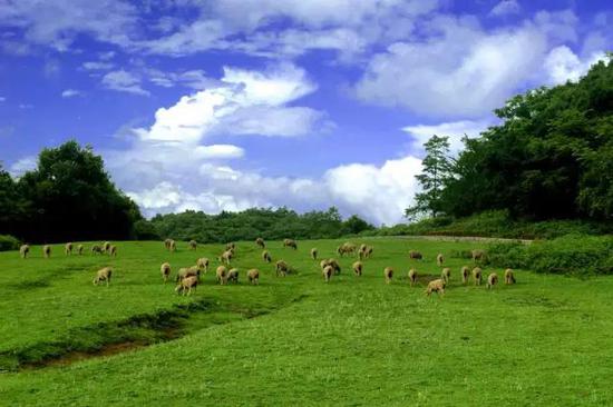 云南曲靖旅游景点大全