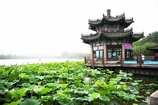 大明湖美景