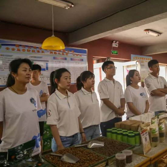 百所高校进白山之旅游产品研发|实践团队为白