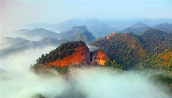 南海神龟 摄影:龙光雄