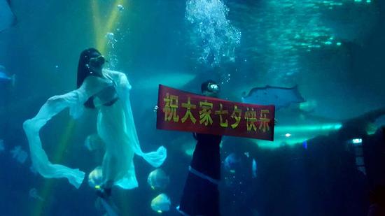 合肥海洋世界表演